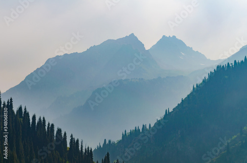 foggy mountains with spruce forests on the slopes © Kirill