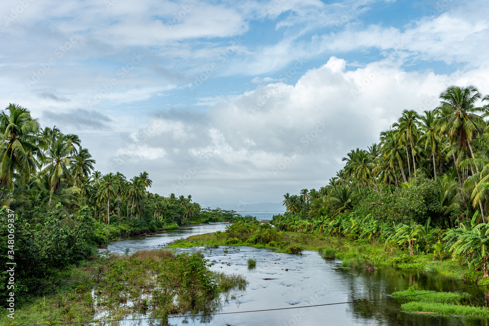 River and palms Lanuza, Mindanao