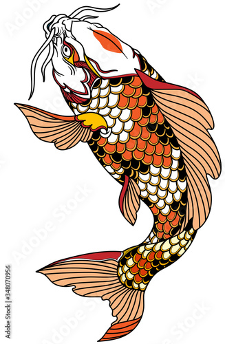 red white Japanese koi carp fish swimming up. Tattoo. Isolated vector illustration