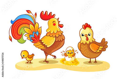 Rooster with chicken and chickens is walking in a clearing. Hatched chicken.
