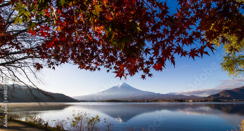 Autumn at Mt.Fuji