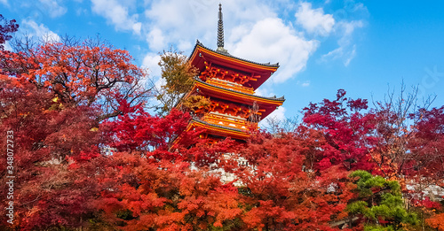 Kiyomizu-dera temple in autumn. photo