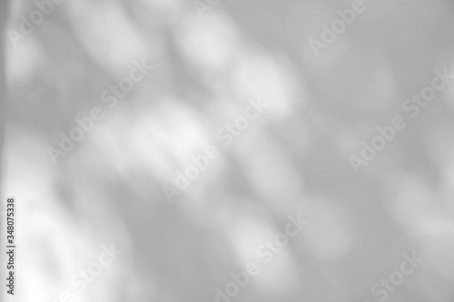 shadow of leaf tree on white texture wall - black and white gray background