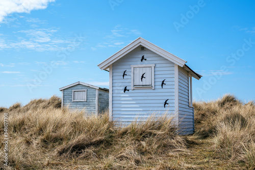 Beach huts or bath cottages on Skanor beach dunes and Falsterbo in South Sweden, Skane travel destination. Domestic tourism concept