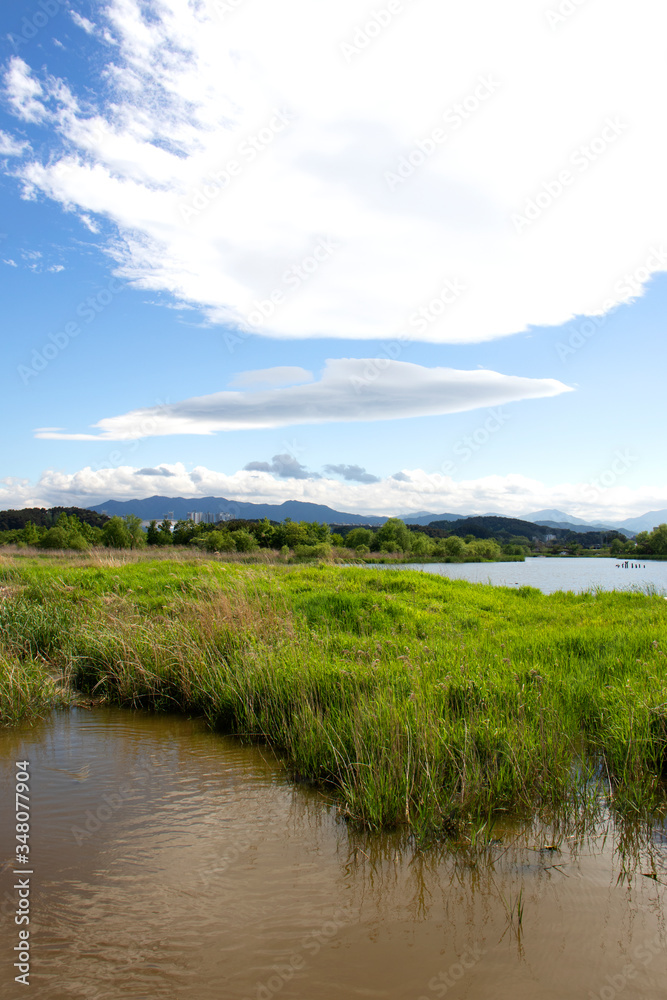 Park view with lake and mountain. forest lake. Park view with lake and mountain. forest lake.
