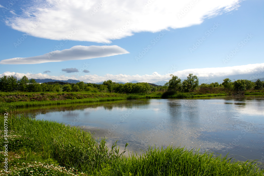 Park view with lake and mountain. forest lake. Park view with lake and mountain. forest lake.