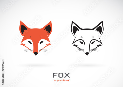 Vector of fox head design on white background.  Wild Animals.  Fox head logos or icons.  Easy editable layered vector illustration.