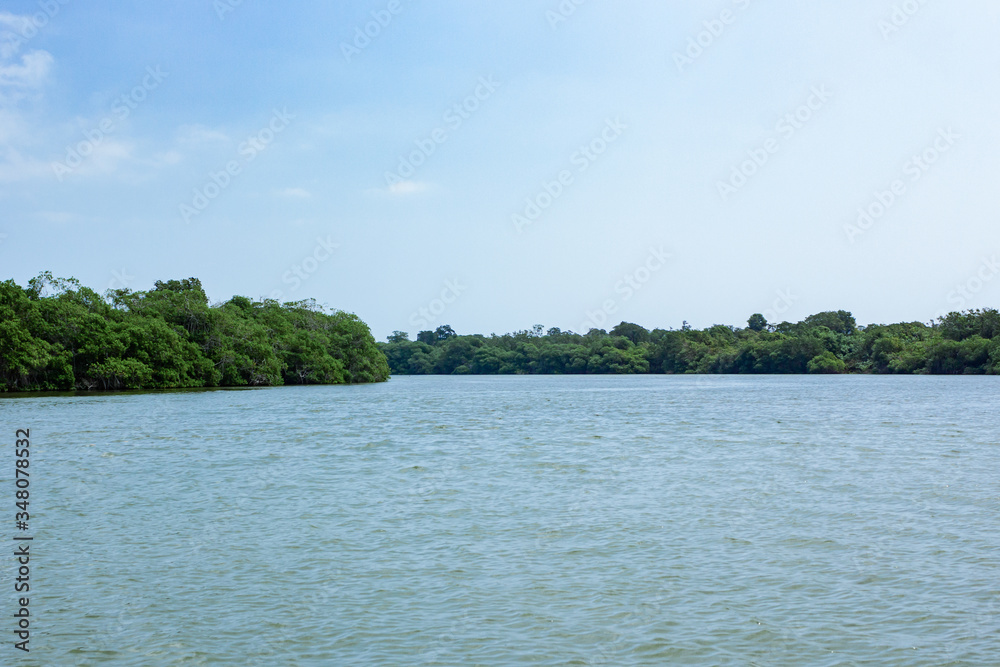 Forest lake with blue sky in Veracruz, México
