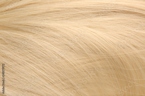 Healthy blonde hair as background