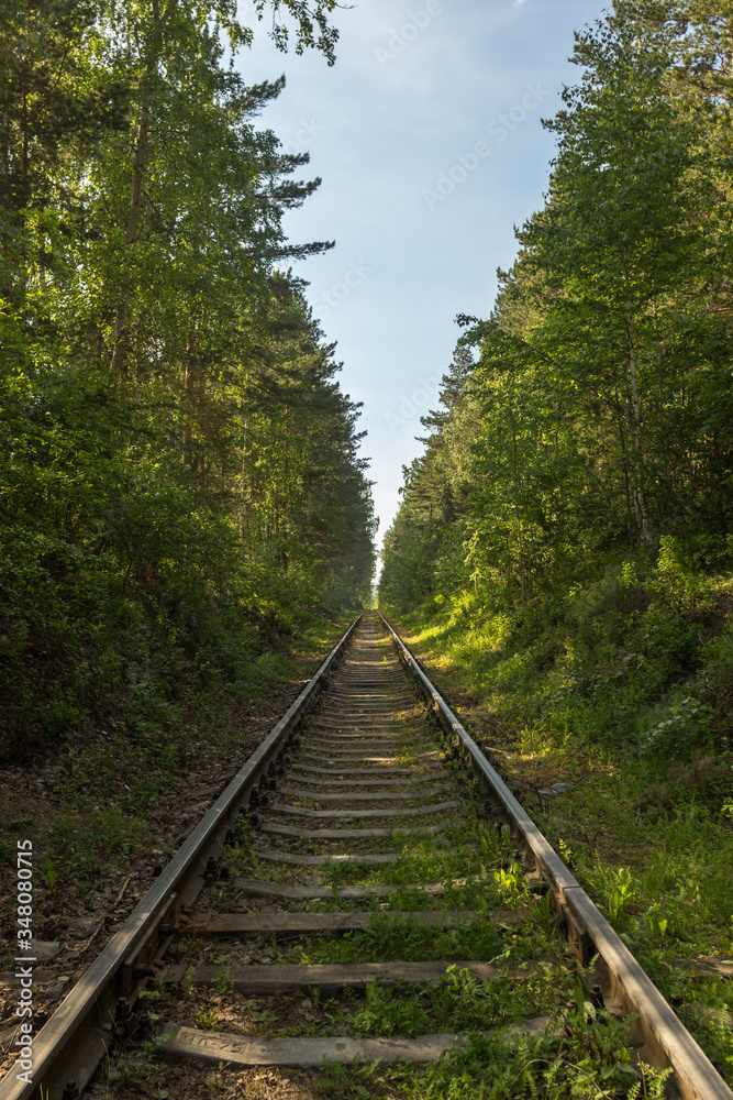 Obraz premium Railway passing between trees in forest.