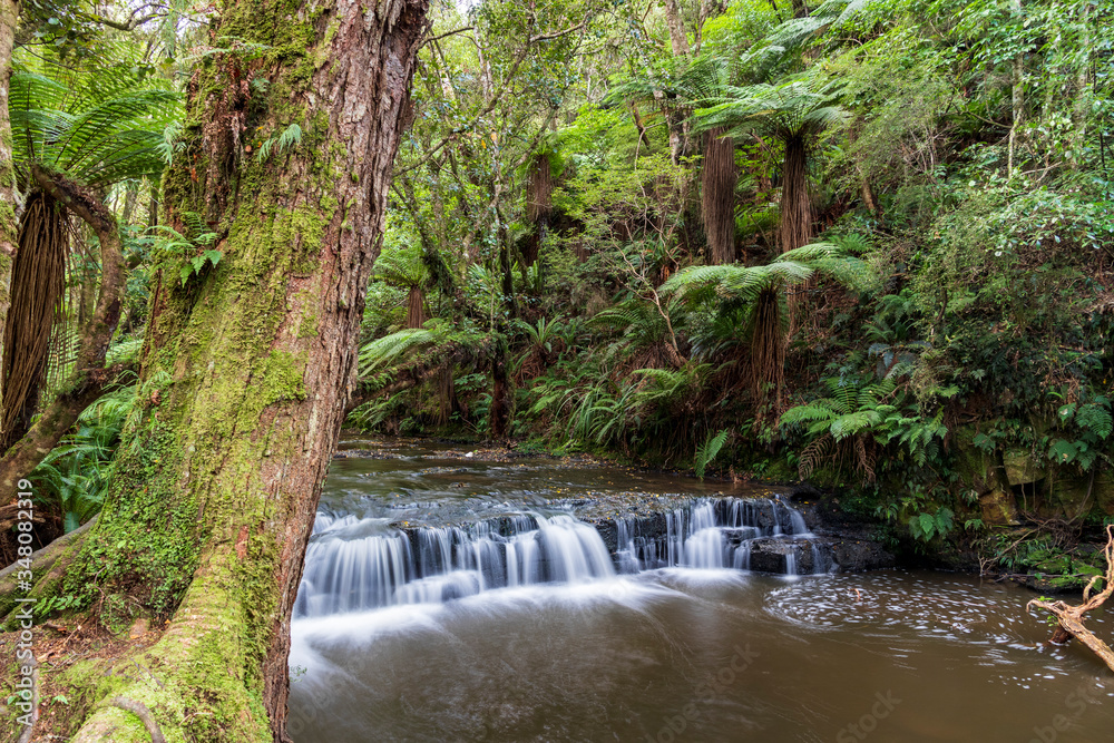 Purakaunui waterfall near Owaka in New Zealand. Purakaunui waterfall near Owaka in New Zealand.