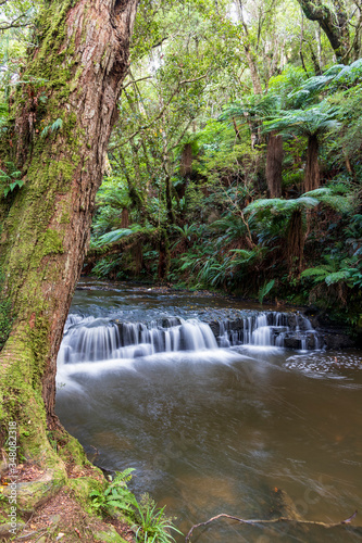 Fototapeta Naklejka Na Ścianę i Meble -  Purakaunui waterfall near Owaka in New Zealand.