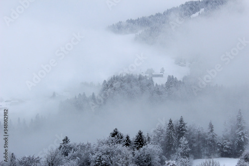 Foggy morning in austria