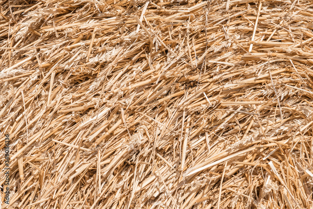 Hay background. Harvesting in agriculture. Hay background. Harvesting in agriculture.