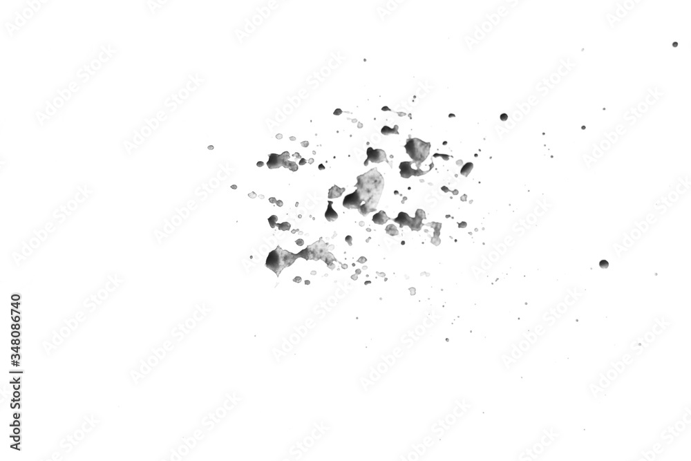 paint color splash black and white paint color splash black and white