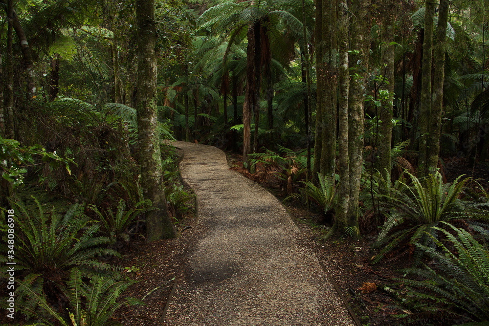 Te Waikoropupu Springs Walk in Kahurangi National Park,Tasman Region on South Island of New Zealand
Te Waikoropupu Springs Walk in Kahurangi National Park,Tasman Region on South Island of New Zealand