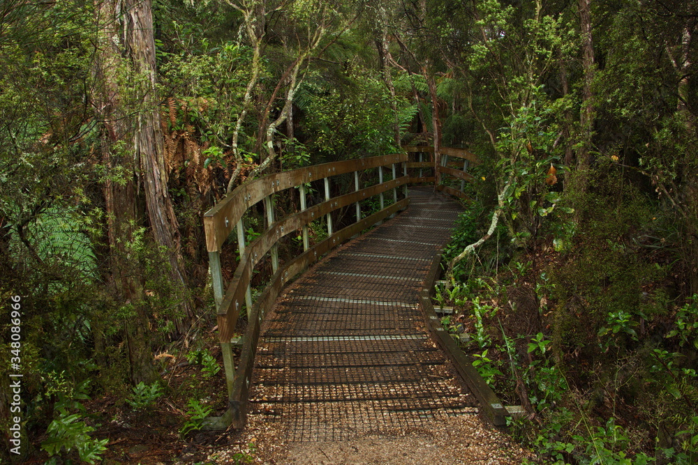 Te Waikoropupu Springs Walk in Kahurangi National Park,Tasman Region on South Island of New Zealand
Te Waikoropupu Springs Walk in Kahurangi National Park,Tasman Region on South Island of New Zealand