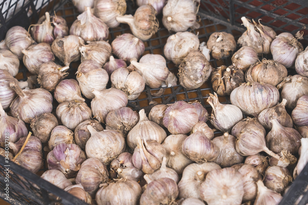 garlic heads close-up