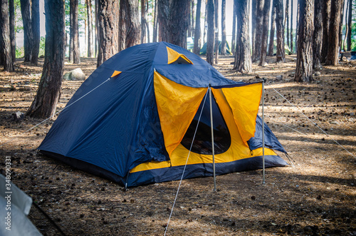 Сamping tent among the trunk of a pine forest in summer under the sun yellow blue tent in the national park. Camping travel hiking concept