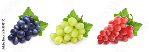 Different wine grapes. Green grapes, black and red pink muscatel grape banches 3d vector icon set