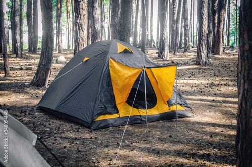Сamping tent among the trunk of a pine forest in summer under the sun yellow blue tent in the national park. Camping travel hiking concept