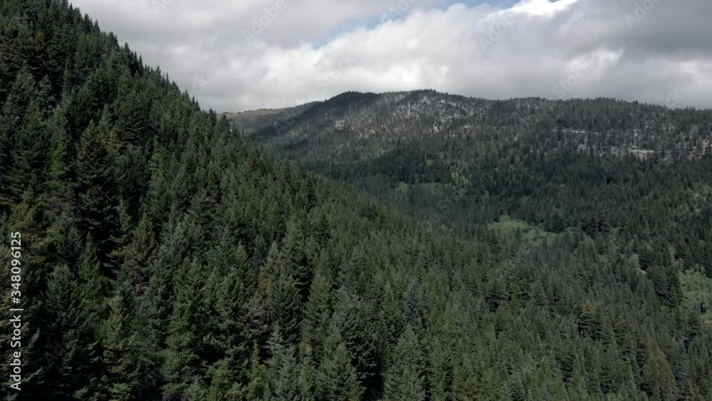 Scenic View Of Green Pine Trees On The Mountains Of Banff In Alberta, Canada - aerial drone shot