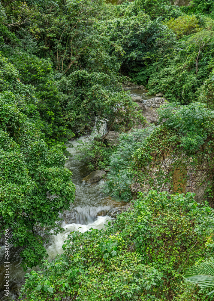 Jungle river with lots of little waterfalls Jungle river with lots of little waterfalls