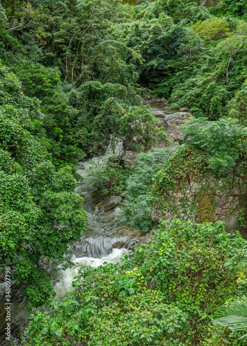 Jungle river with lots of little waterfalls