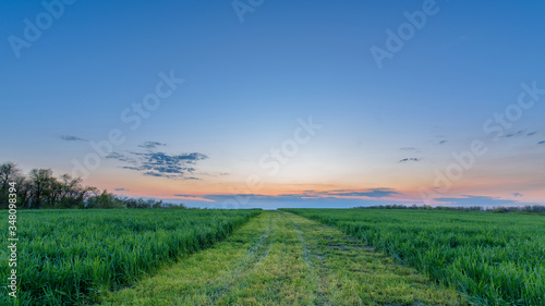 panorama of a green field at sunset blue sky with pink pastel shades of the sky