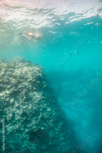 Coral reef with snorkelers swimming above at the surface