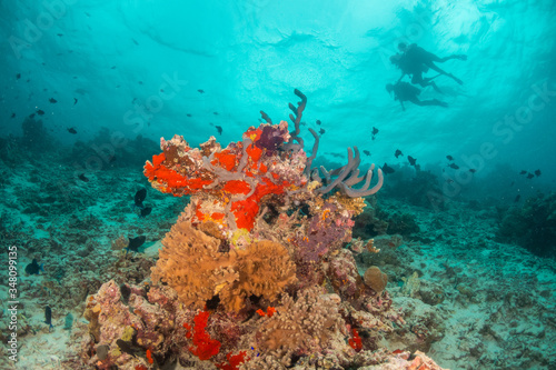 Colorful underwater scene of fish and coral with scuba divers swimming in the background