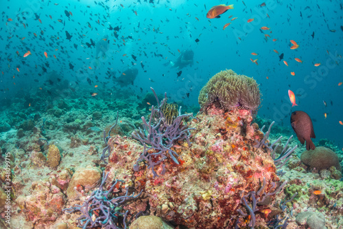 Colorful underwater scene of fish and coral with scuba divers swimming in the background