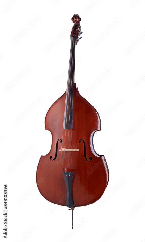Fototapeta premium Double Bass, Strings Music Instrument Isolated on White background