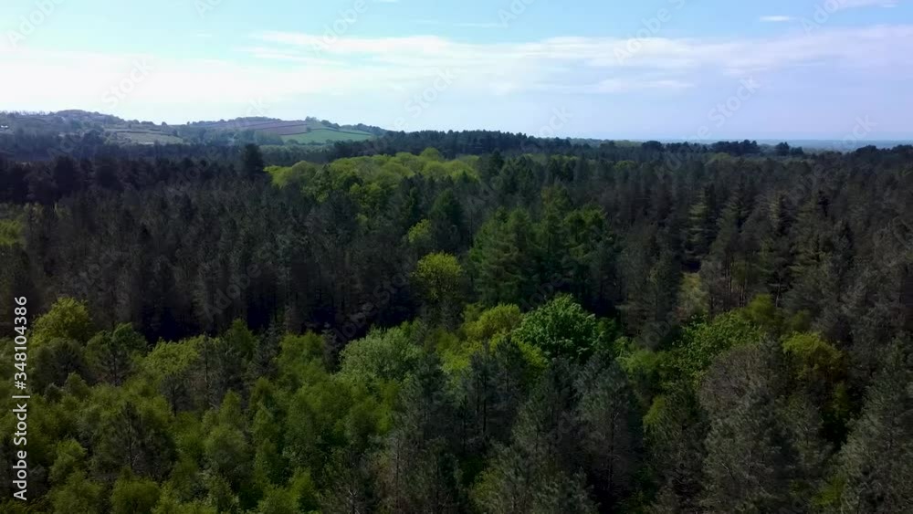 A slow pan over the top of the forest A slow pan over the top of the forest