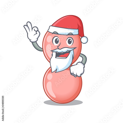 Neisseria gonorrhoeae Santa cartoon character with cute ok finger