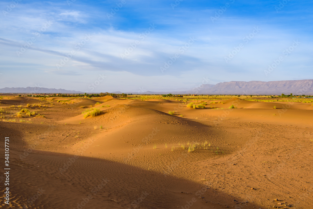 Dunes of Sahara Desert at sunset. Wild nature background.