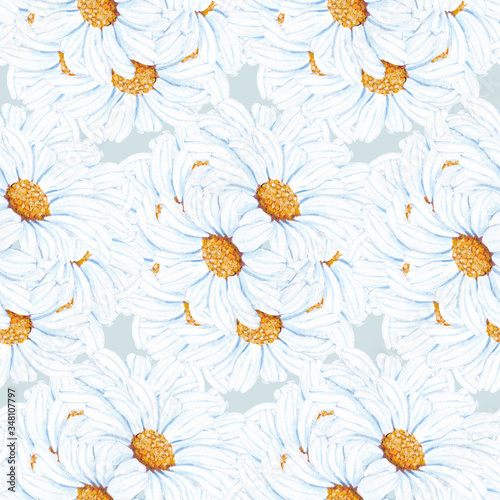 elegant white daisies in a seamless pattern