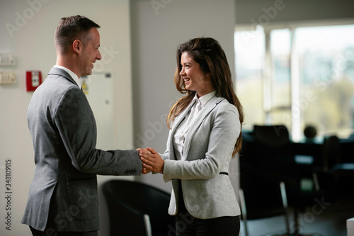 Fototapeta Naklejka Na Ścianę i Meble -  Colleagues in office. Businesswoman and businessman handshake in office