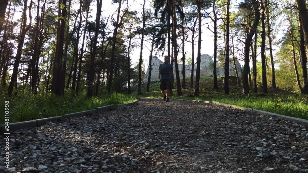 Hiker walks on a path down the castle hill. Bydlin Castle ruins in the horizon. Trail of the Eagles' Nests. Poland. Moody shot. One person.