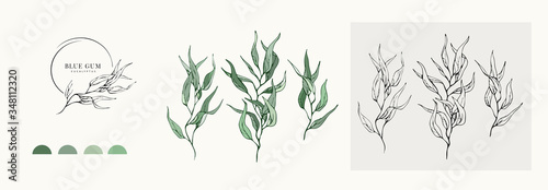 Eucalyptus blue gum logo and branch. Hand drawn wedding herb, plant and monogram with elegant leaves for invitation save the date card design. Botanical rustic trendy greenery