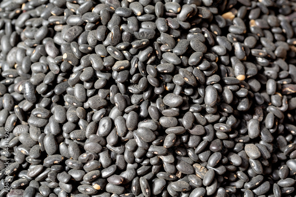black bean on background.top view. black bean on background.top view.