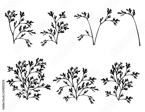 Set of black coral seaweeds silhouettes flat vector illustration isolated on white background
