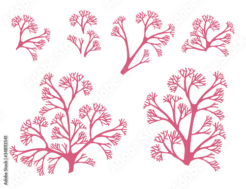 Set of red coral seaweeds silhouettes flat vector illustration isolated on white background