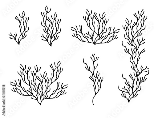 Set of black coral seaweeds silhouettes flat vector illustration isolated on white background