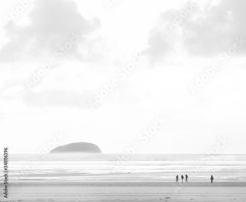 Life on a beach - Lowry? photo