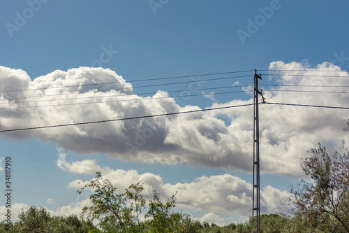 tendido eléctrico sobre cielo con nubes