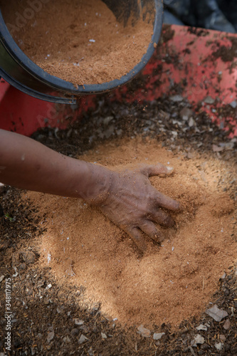 Preparation of soil mixture from fertile compost, humus and vermiculite  in the garden. Springtime gardening work.  photo