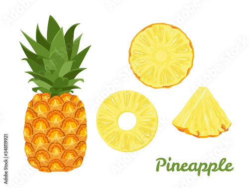 Pineapple set. Whole pineapple and slices isolated on a white background. Vector illustration of tropical fruit in cartoon flat style.