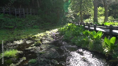 Scenic spots in Hakuba Village, Nagano Prefecture, Japan