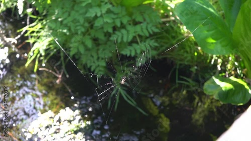 Scenic spots in Hakuba Village, Nagano Prefecture, Japan